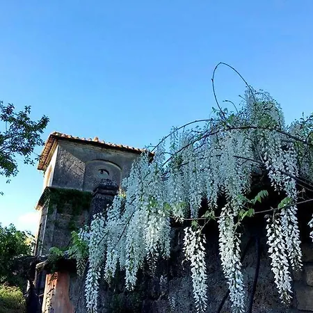 Il Giardino E La Dimora Di *